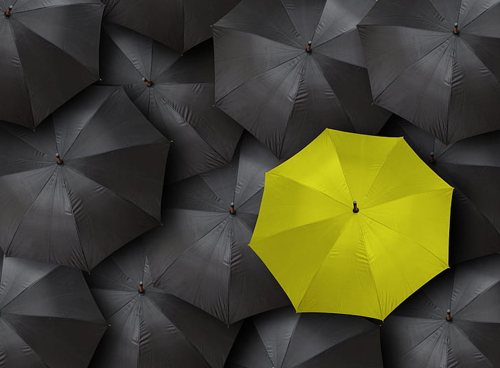 черный, желтый, зонт, HD обои