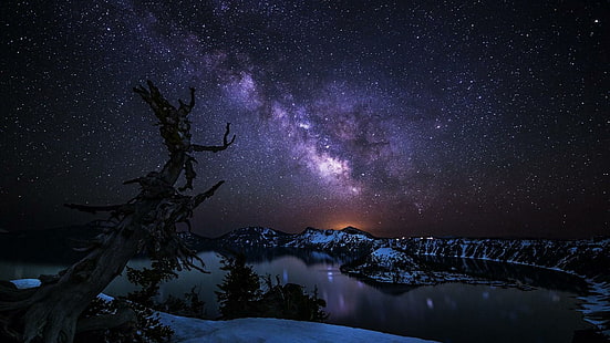 млечен път, небе, звездна нощ, нощни светлини, нощно небе, нощ, тъмнина, кратерно езеро, Орегон, астрономически обект, феномен, САЩ, дърво, кратер езеро национален парк, зима, сняг, HD тапет HD wallpaper