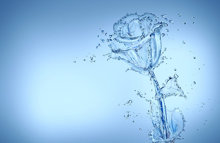 الزهور المائية تصميم عمل فني قطرات الماء روزا 9272x6030 زهور الطبيعة HD الفن والماء والزهور، خلفية HD
