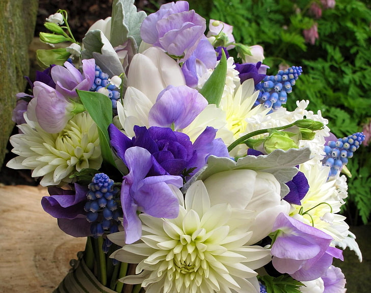 lila und weiße Blumen, Chrysanthemen, Blumen, Strauß, Muscari, Maiglöckchen, Frühling, HD-Hintergrundbild