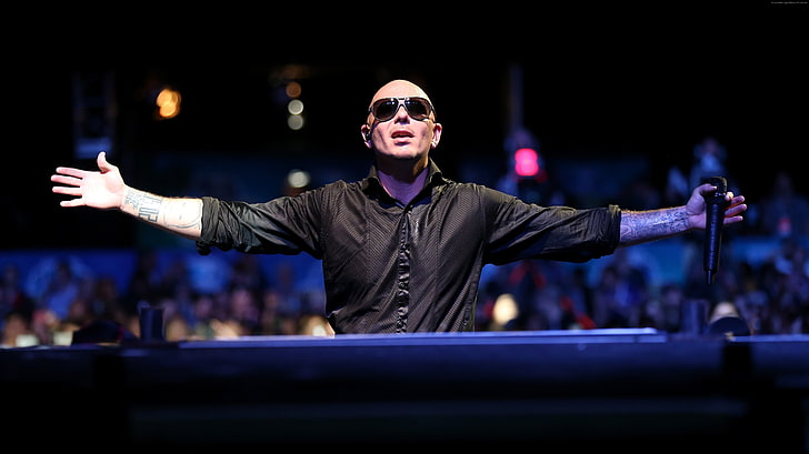 rappeur, le meilleur artiste musical et groupes, le chanteur, Pitbull, Fond d'écran HD