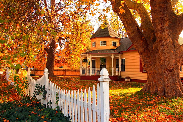 бяла дървена ограда и бежова 2-етажна къща, път, есен, гора, трева, листа, дървета, природа, къща, парк, цветове, цветни, разходка, пътека, есен, HD тапет