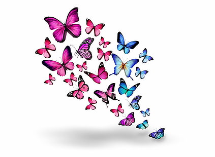 животные, боке, бабочки, бабочки, насекомые, HD обои HD wallpaper
