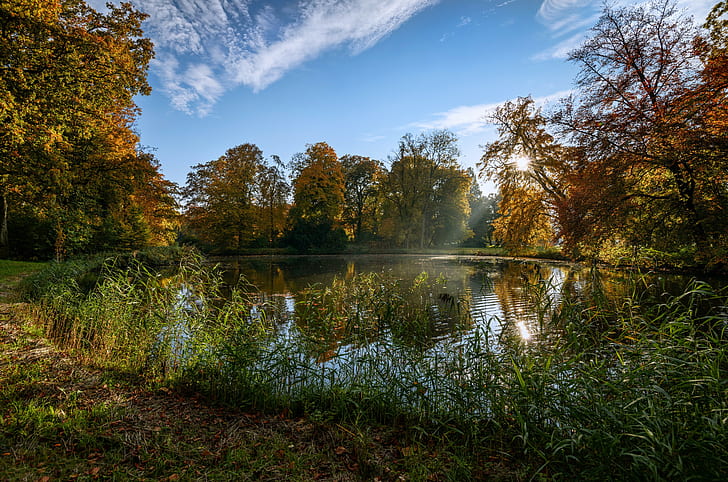 네덜란드, 드 하르 성 공원, 연못, 나무, 여름, HD 배경 화면