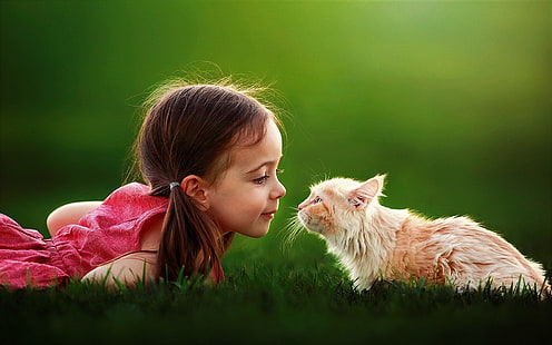 Fotografia, Dziecko, Kot, Słodki, Dziewczynka, Trawa, Mała dziewczynka, Tapety HD HD wallpaper