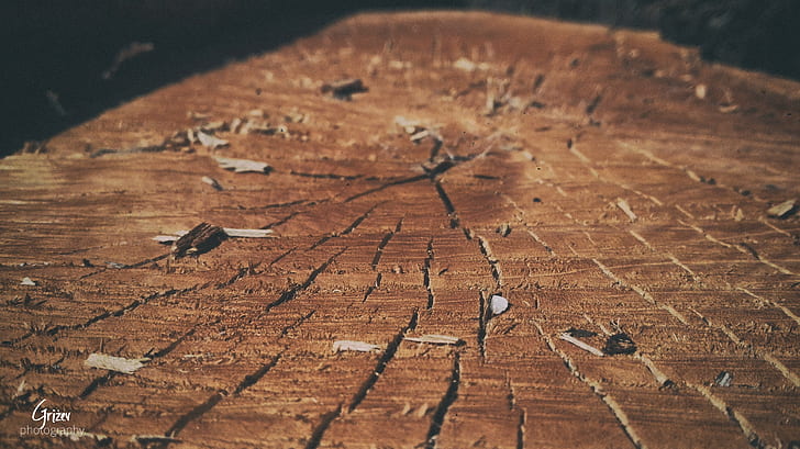 alam, kulit pohon, kayu, di luar ruangan, Wallpaper HD