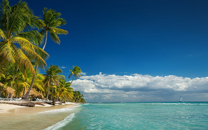 paisagem, natureza, ilha, praia, palmeiras, mar, verão, nuvens, férias, HD papel de parede