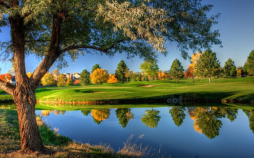 arbre feuillu vert au bord de l'eau, lac, paysage, arbres, parcours de golf, Fond d'écran HD HD wallpaper