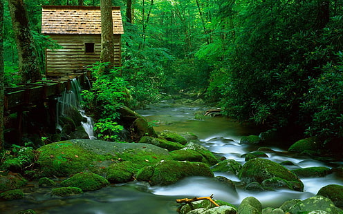 บ้านในป่า, บ้านสีน้ำตาล, ธรรมชาติ, ทิวทัศน์, วอลเปเปอร์ธรรมชาติที่สวยงาม, วอลเปเปอร์ธรรมชาติที่น่าตื่นตาตื่นใจ, วอลเปเปอร์ธรรมชาติ HD, วอลล์เปเปอร์ HD HD wallpaper