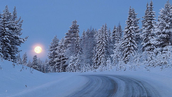 Moon Over A Winter Lscape, forest, winter, moon, road, nature and landscapes, HD wallpaper