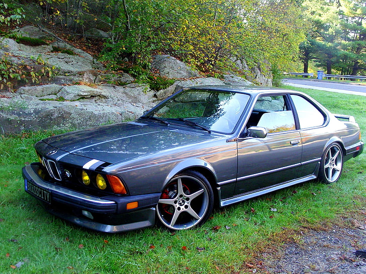 grey coupe, grass, trees, stones, tuning, drives, sports, avtomobil, BMW E24 633, HD wallpaper
