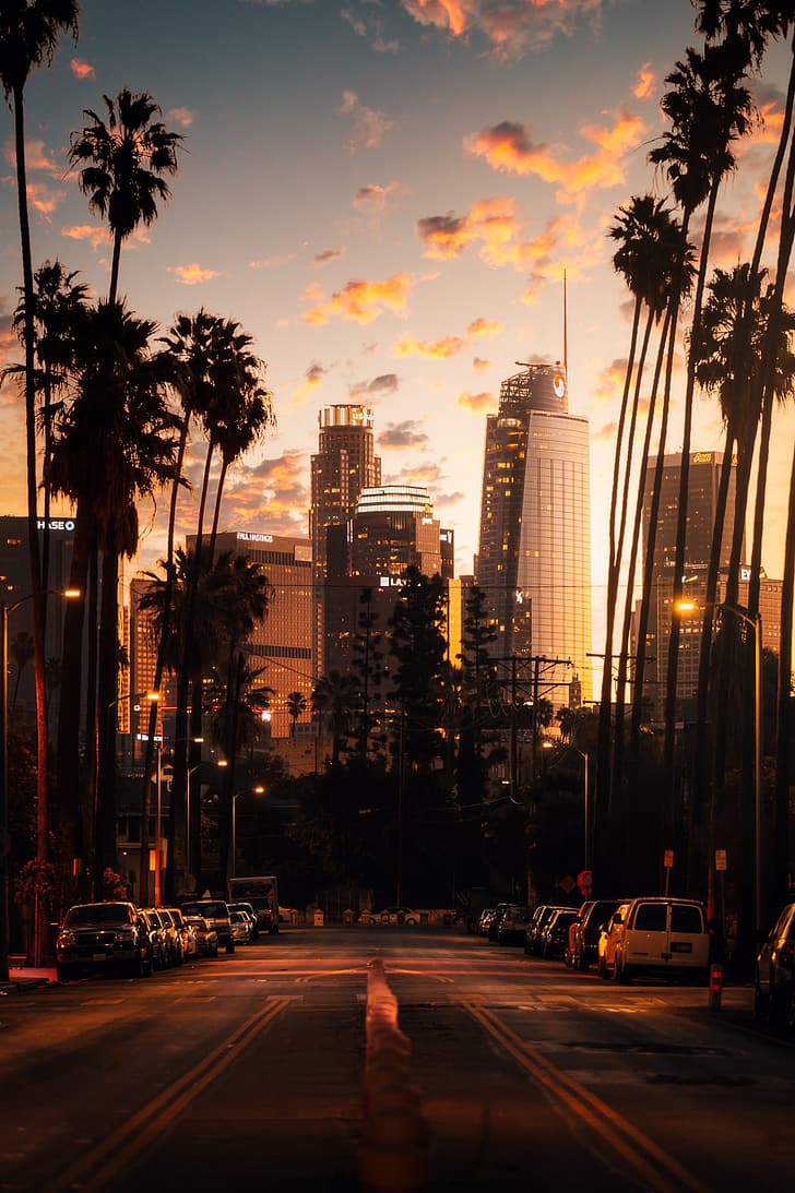 paesaggio urbano, visualizzazione verticale, città, tramonto, grattacielo, Los Angeles, strada, palme, Sfondo HD, sfondo telefono