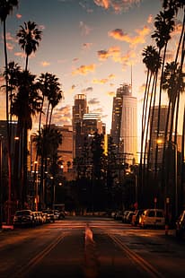 градски пейзаж, портрет, град, залез, небостъргач, Лос Анджелис, път, палми, HD тапет HD wallpaper
