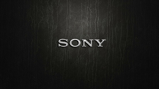 Sony logo, Sony, prata, logotipo, HD papel de parede HD wallpaper