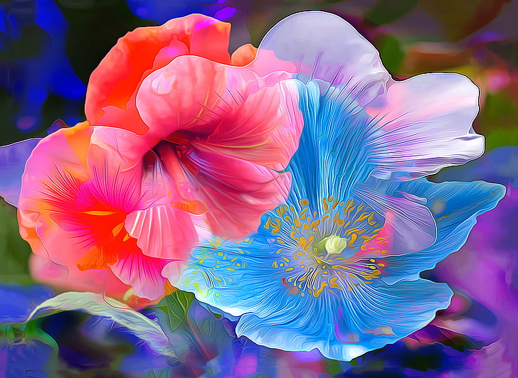 파란색과 분홍색 꽃, 선, 꽃, 페인트, 맥, 히 비 스커 스, HD 배경 화면