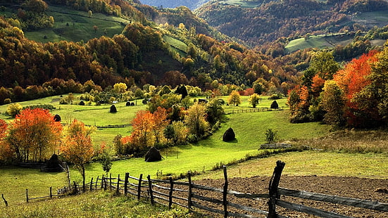 ทุ่งหญ้าสีเขียว, ธรรมชาติ, ภูมิประเทศ, ต้นไม้, ป่า, ภูเขา, เนินเขา, สนาม, หญ้า, ตก, รั้ว, หญ้าแห้ง, กองหญ้า, Sumadija, วอลล์เปเปอร์ HD HD wallpaper
