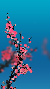 Telefon, Natur, Blumen, HD-Hintergrundbild HD wallpaper