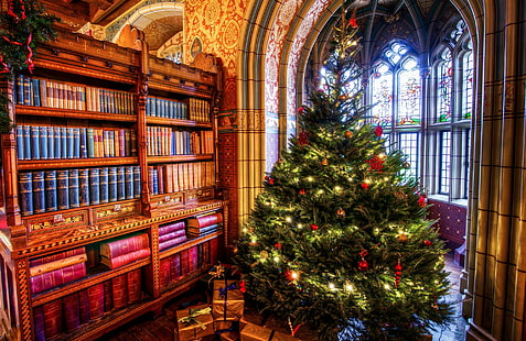 Regalos del libro del árbol de Navidad, misceláneo, días festivos, navidad, árbol de navidad, libro, regalos, Fondo de pantalla HD HD wallpaper