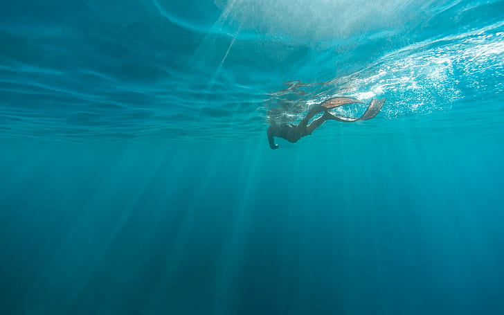 pod wodą, nurkowanie, nurkowie, ludzie, w wodzie, Tapety HD