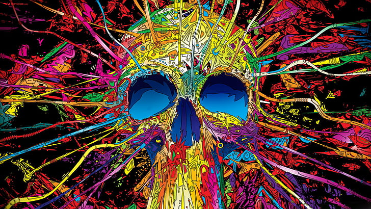 best, colorful, skull, HD wallpaper