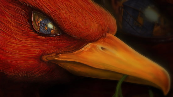 феникс, фантастическое существо, птица, огонь, отражение глаз, фэнтези, HD обои HD wallpaper