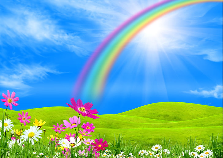 flowers and rainbow illustration, field, trees, landscape, flowers, nature, rainbow, HD wallpaper