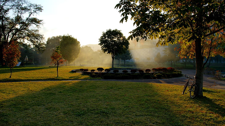 Jesienny park, wschód słońca, rower, drzewa, zielone drzewa, jesień, park, wschód słońca, rower, drzewa, Tapety HD