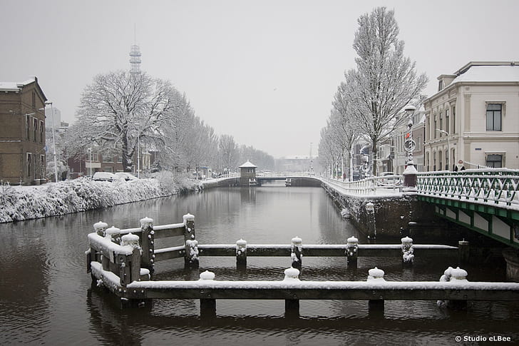 спокойное водное пространство между домом и голыми деревьями, наполненными снегом, спокойное водное пространство, между ними, дом, голые деревья, Леуварден, зима, Фрисландия, Голландия, Нидерланды, белоснежный, холодный, керст, рождество, снег, холодно - температура, река, архитектура, мост - рукотворная структура, городская сцена, HD обои