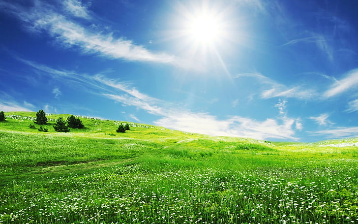 The Smile Of Sun Over The Beautiful Nature Hd Wallpaper 5120×3200, HD wallpaper