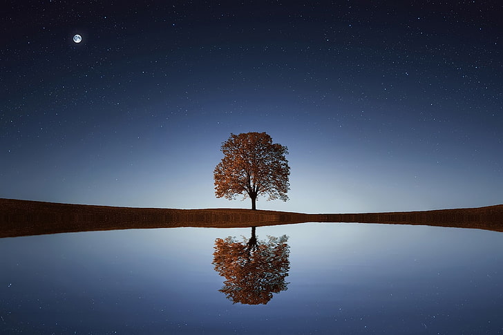 landscape, nature, night sky, water, trees, reflection, HD wallpaper