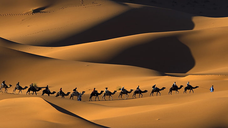 nature, animals, landscape, camels, Morocco, Africa, sand, desert, dune, people, shadow, footprints, Touaregs, HD wallpaper