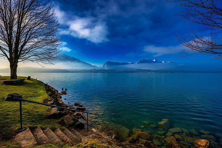 bare tree and body of water wallpaper, the sky, grass, clouds, trees, mountains, fog, lake, stones, shore, Switzerland, ladder, steps, Thun, HD wallpaper