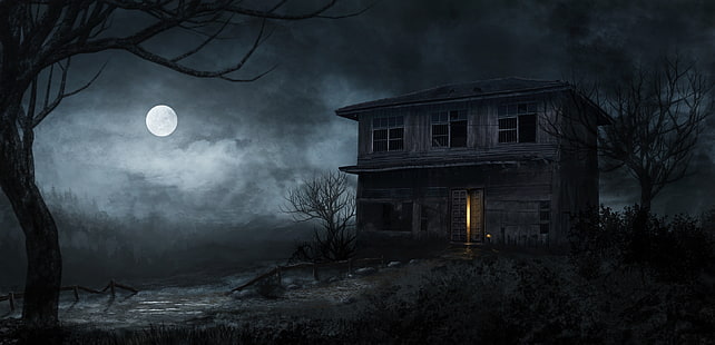 Oscuro, embrujado, casa embrujada, casa, Fondo de pantalla HD HD wallpaper