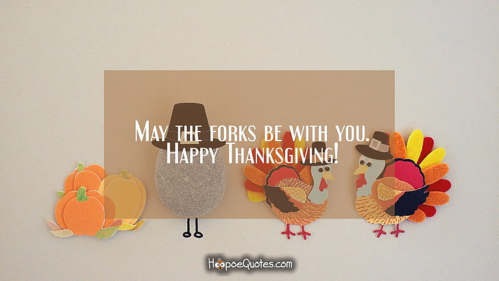 две пуйки с текст с наслагване, Ден на благодарността, празник, типография, цитат, HD тапет