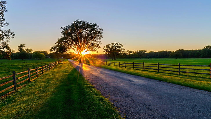 ถนนธรรมชาติฟิลด์ทุ่งหญ้าทุ่งหญ้าท้องฟ้าต้นไม้ฟาร์มตอนเช้าพระอาทิตย์ขึ้นแสงรุ่งอรุณหญ้าแสงแดดทุ่งหญ้า, วอลล์เปเปอร์ HD