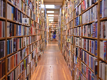 ชั้นหนังสือ, หนังสือคละชื่อ, วินเทจ, แคนาดา, วิคตอเรีย, โบเก้, ดาวน์ทาวน์, ร้านหนังสือ, หนังสือ, britishcolumbia, เมืองหลวง, ชั้นวางหนังสือ, วอลล์เปเปอร์ HD HD wallpaper