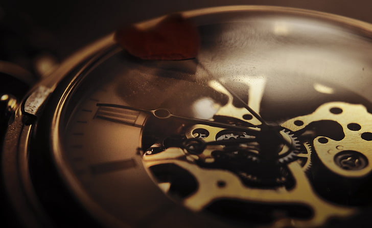 Mechanizm zegara, okrągły zegarek szkieletowy w kolorze złota, Vintage, zegar, mechanizm, Tapety HD