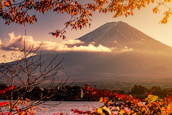 秋 空 葉 カラフル 日本 赤 カエデ 富士山 風景 富士山 Hdデスクトップの壁紙 Wallpaperbetter