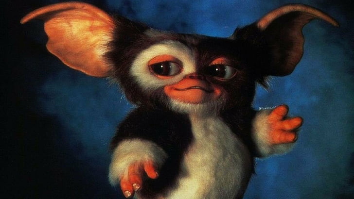 Movie, Gremlins 2: The New Batch, Gizmo, HD wallpaper