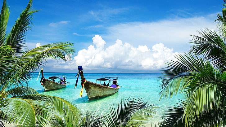 Cocoteros, 4K, playa tropical, barcos, isla, Fondo de pantalla HD