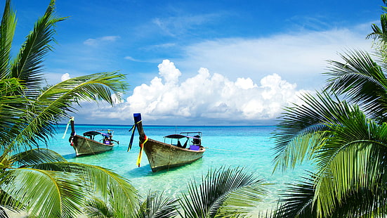 Cocoteros, 4K, playa tropical, barcos, isla, Fondo de pantalla HD HD wallpaper