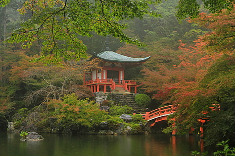 Templi, Daigo-ji, Autunno, Kyoto, Pagoda, Santuario, Tempio, Sfondo HD HD wallpaper