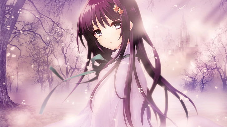 kabut, gadis anime, bunga sakura, ungu, Wallpaper HD