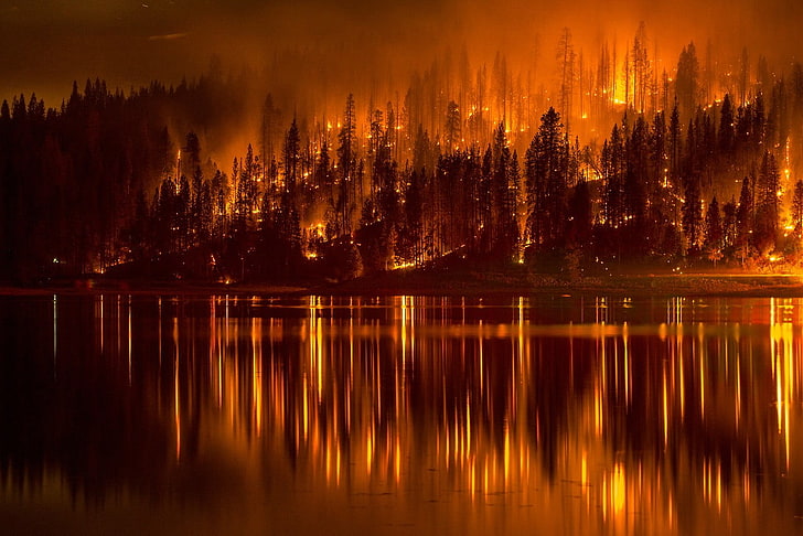 queima floresta perto do lago durante a noite, fogo, floresta, lago, noite, HD papel de parede