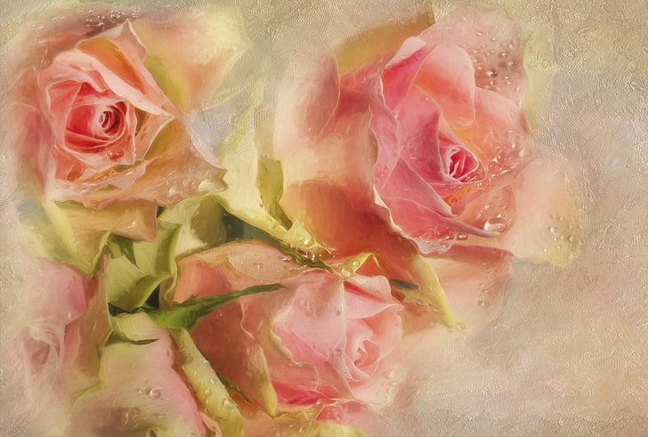 three pink roses painting, drops, flowers, pink, roses, texture, buds, HD wallpaper