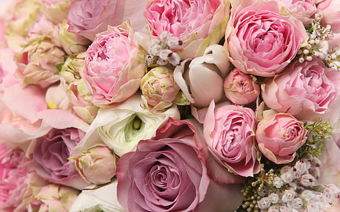 Roses and peonies bouquet, pink-purple-and-white roses, flowers, 1920x1200, rose, peony, HD wallpaper HD wallpaper