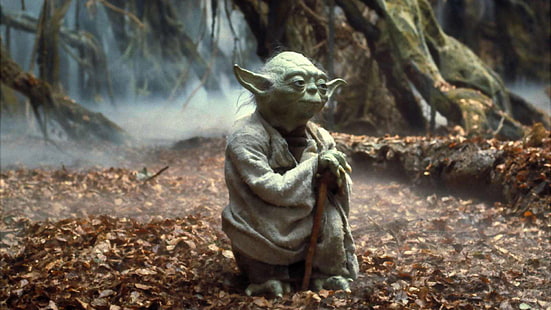 Star Wars Yoda, Yoda, Star Wars: Episodio V - El Imperio Contraataca, Star Wars, películas, Jedi, Dagobah, Fondo de pantalla HD HD wallpaper