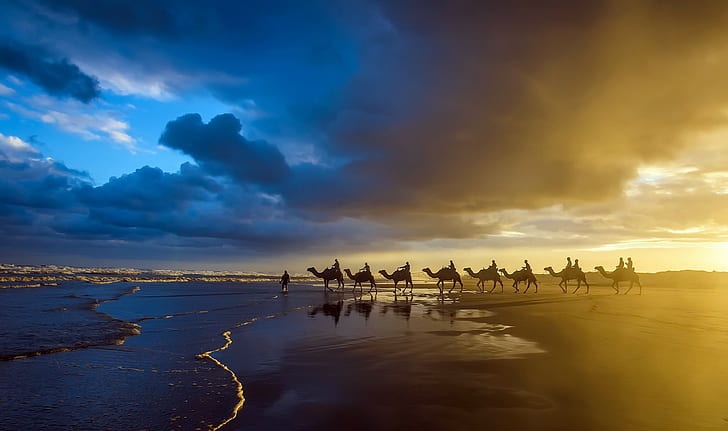 Fotografie, Sonnenuntergang, Kamele, HD-Hintergrundbild