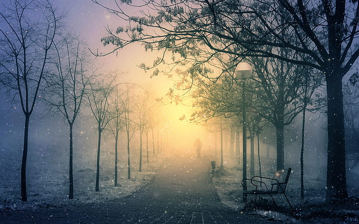 Winter park mattina, neve, percorso, lanterna, panca, alberi, inverno, parco, mattina, neve, percorso, lanterna, panca, alberi, Sfondo HD