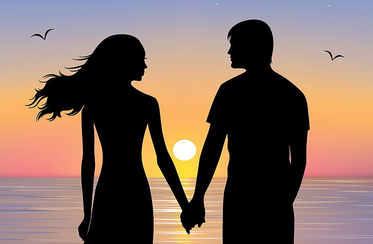 silhouette of woman and man near ocean wallpaper, the sky, look, girl, love, birds, hands, silhouette, pair, guy, a couple, HD wallpaper